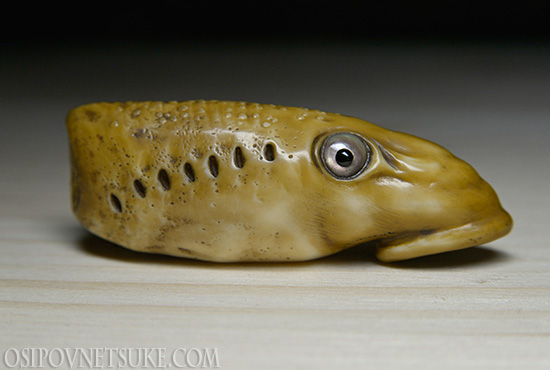 The Yatsumeunagi (Lamprey Fish) Head Netsuke
