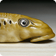 Yatsumeunagi (Lamprey Fish) Head Netsuke