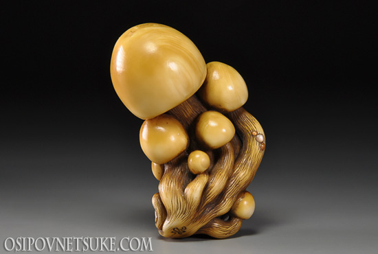 Fungi 3 Netsuke