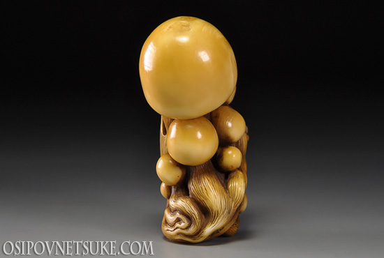 Fungi 3 Netsuke