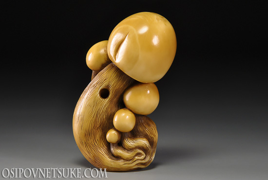 Fungi 3 Netsuke